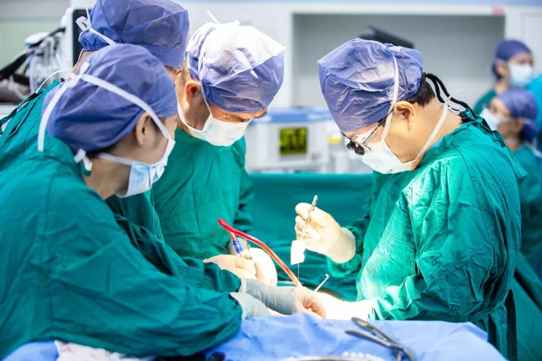 西安国际医学中心医院骨科医院成功完成胸椎后路切开嗅鞘细胞移植手术